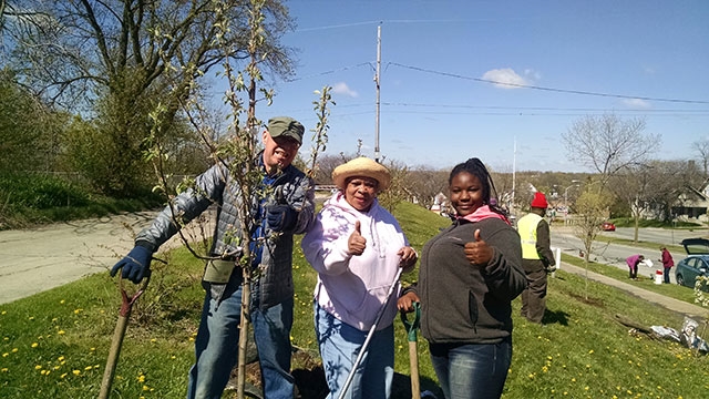 Tree planting at All People's Orchard