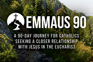 Emmaus 90 promotion box in English