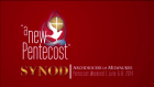 2014 Synod overview