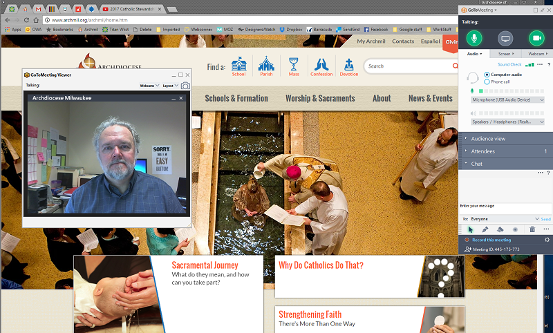online meetings